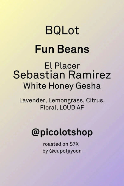 BRIAN QUAN X SEBASTIAN RAMIREZ GESHA WHITE HONEY