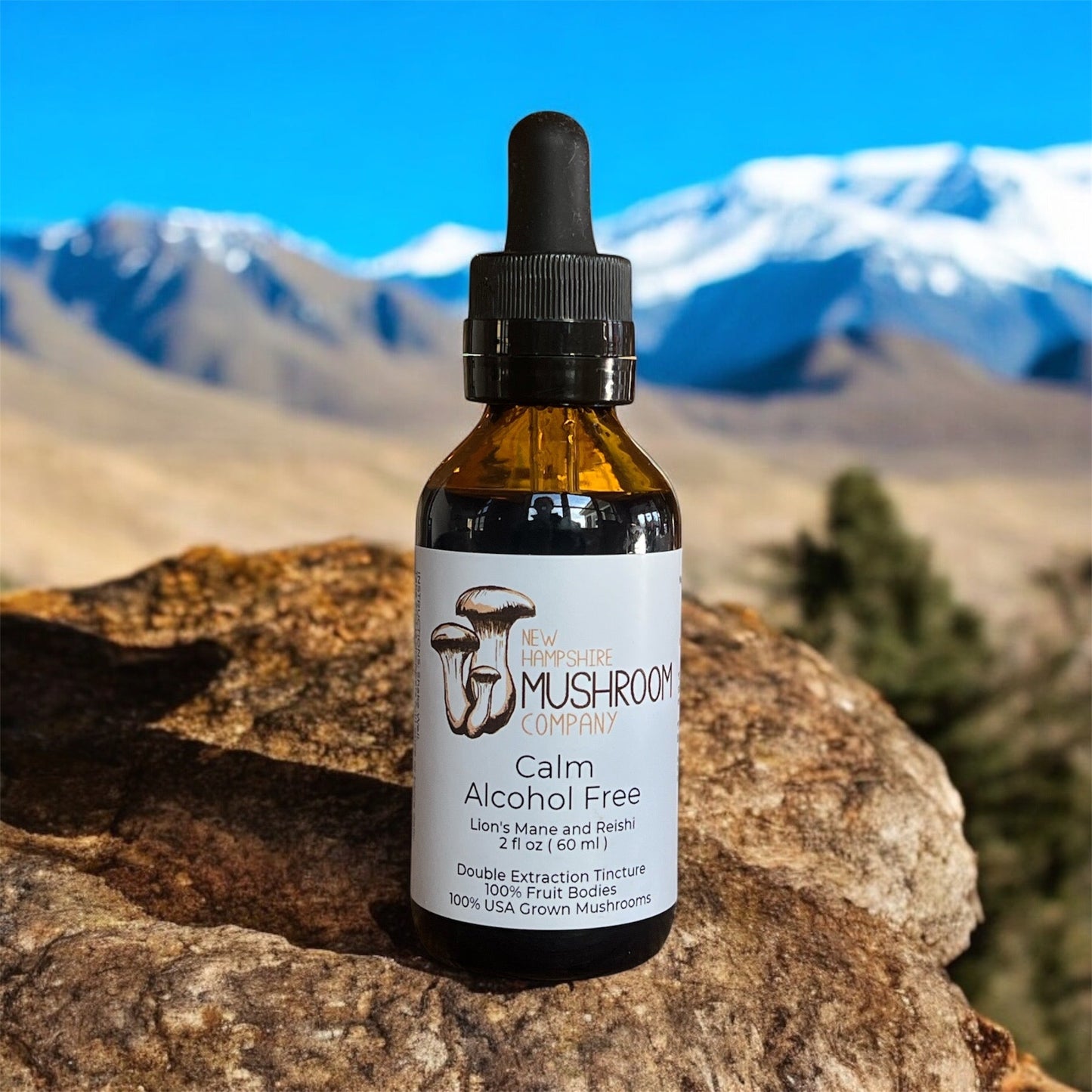 Calm Tincture – Reishi & Lion’s Mane Blend for Stress Support