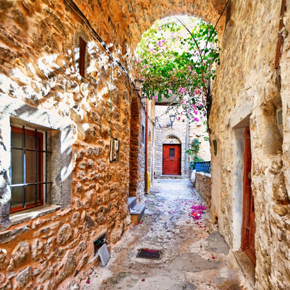 Chios Mastic Gum Tea