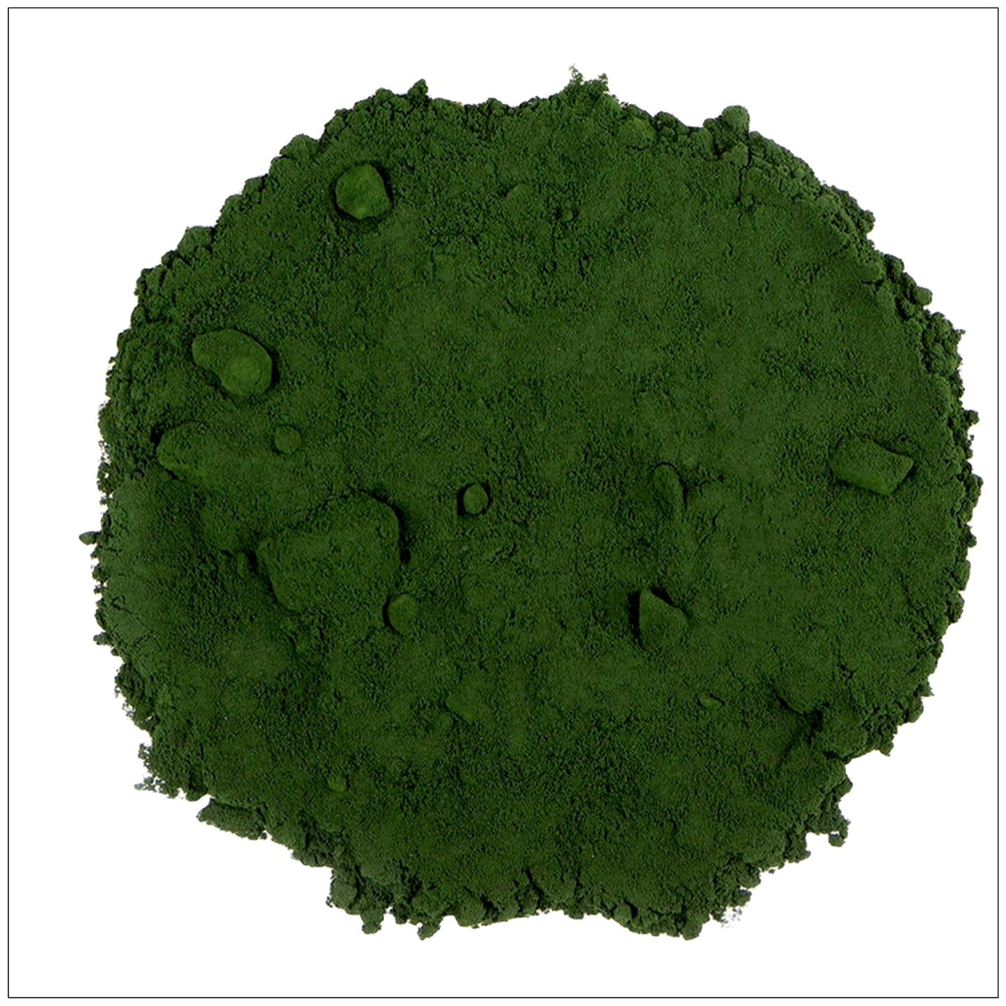 Chlorella Powder