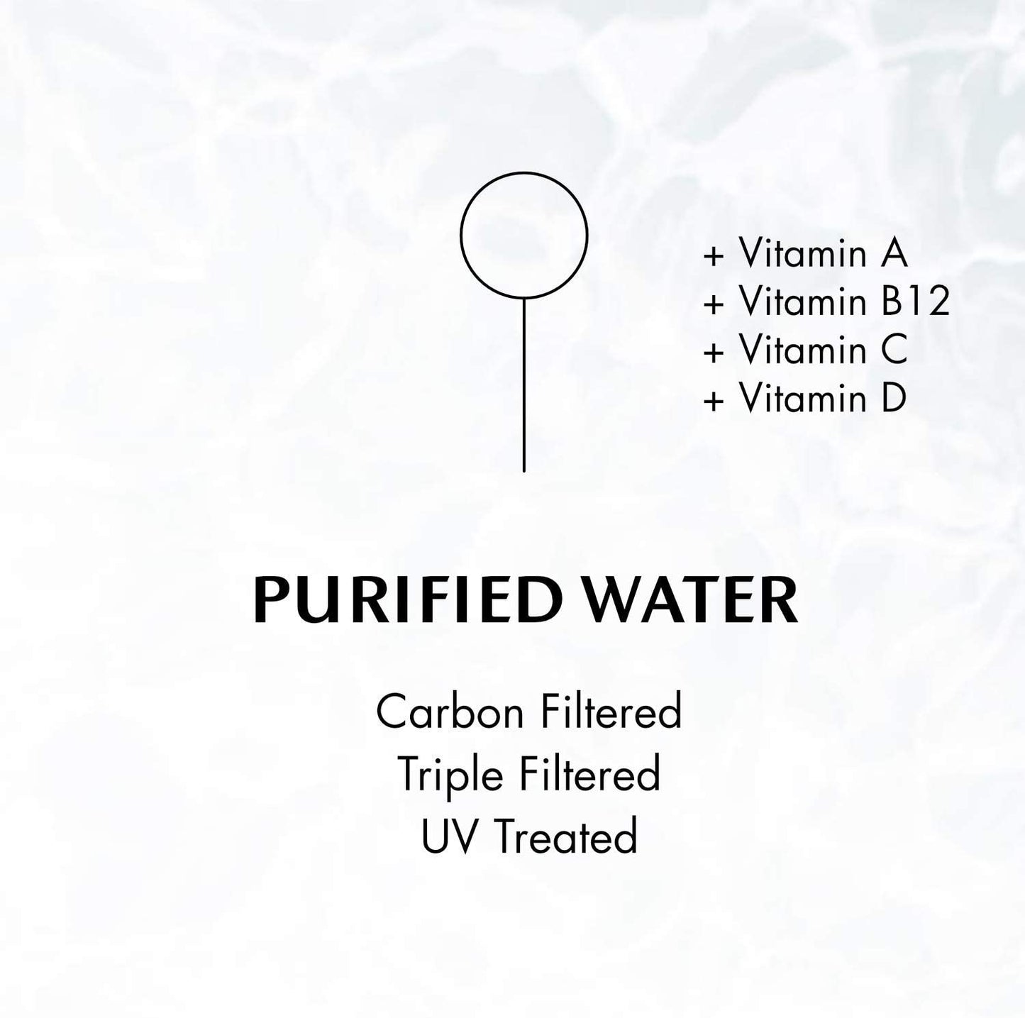 Chlorophyll Water Chlorophyll Water® (2 Cases/24 Bottles) Purified Mountain Spring Water with Essential Vitamins