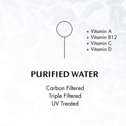 Chlorophyll Water Chlorophyll Water® (2 Cases/24 Bottles) Purified Mountain Spring Water with Essential Vitamins