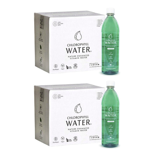 Chlorophyll Water Chlorophyll Water® (2 Cases/24 Bottles) Purified Mountain Spring Water with Essential Vitamins