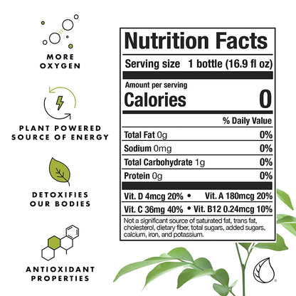 Chlorophyll Water® (Case of 12): Purified Mountain Spring Water with Essential Vitamins by Chlorophyll Water