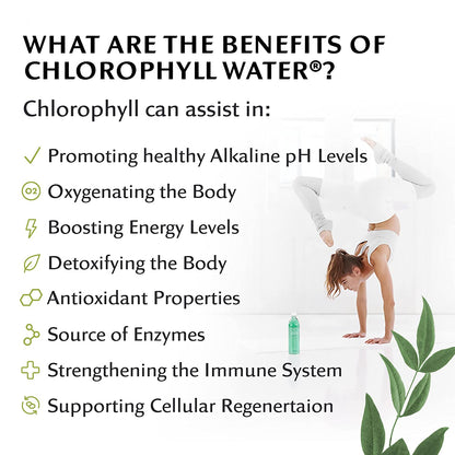 Chlorophyll Water® (Case of 12): Purified Mountain Spring Water with Essential Vitamins by Chlorophyll Water