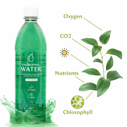 Chlorophyll Water® (Case of 12): Purified Mountain Spring Water with Essential Vitamins by Chlorophyll Water