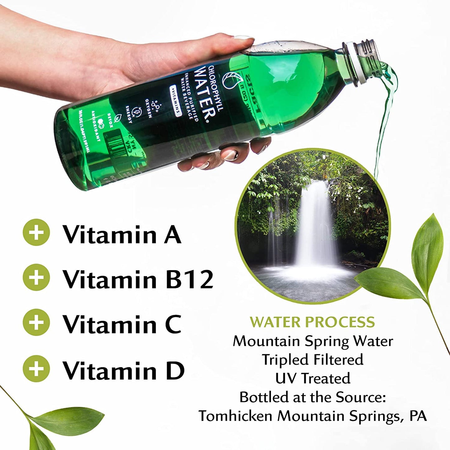Chlorophyll Water® (Case of 12): Purified Mountain Spring Water with Essential Vitamins by Chlorophyll Water