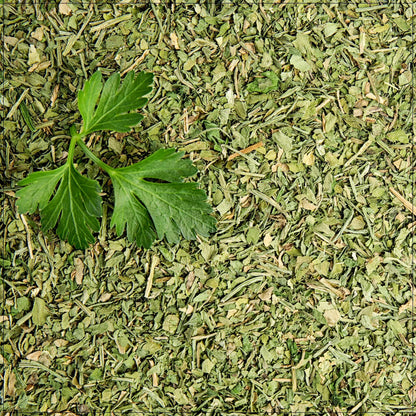Cilantro Leaf