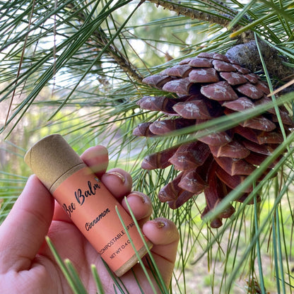 Bee Balm Cinnamon Lip Balm Sticks - 6 Sticks