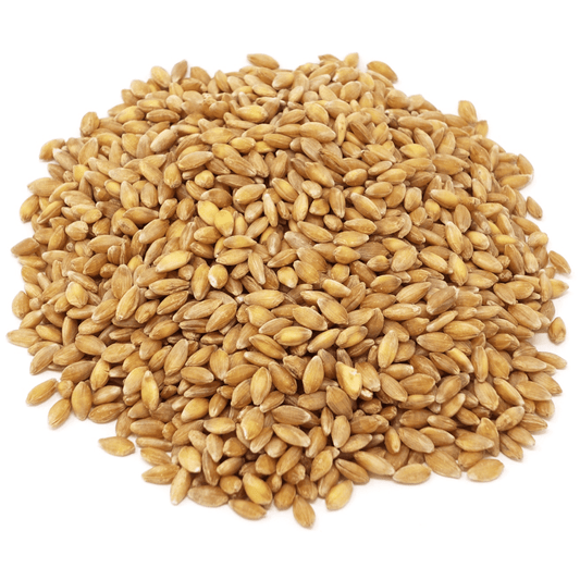 Einkorn Berries, Organic