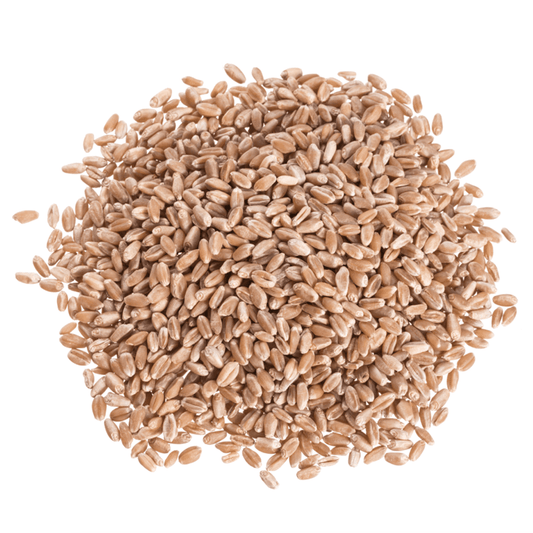 Wheat Berries, Hard Red, Spring Wheat