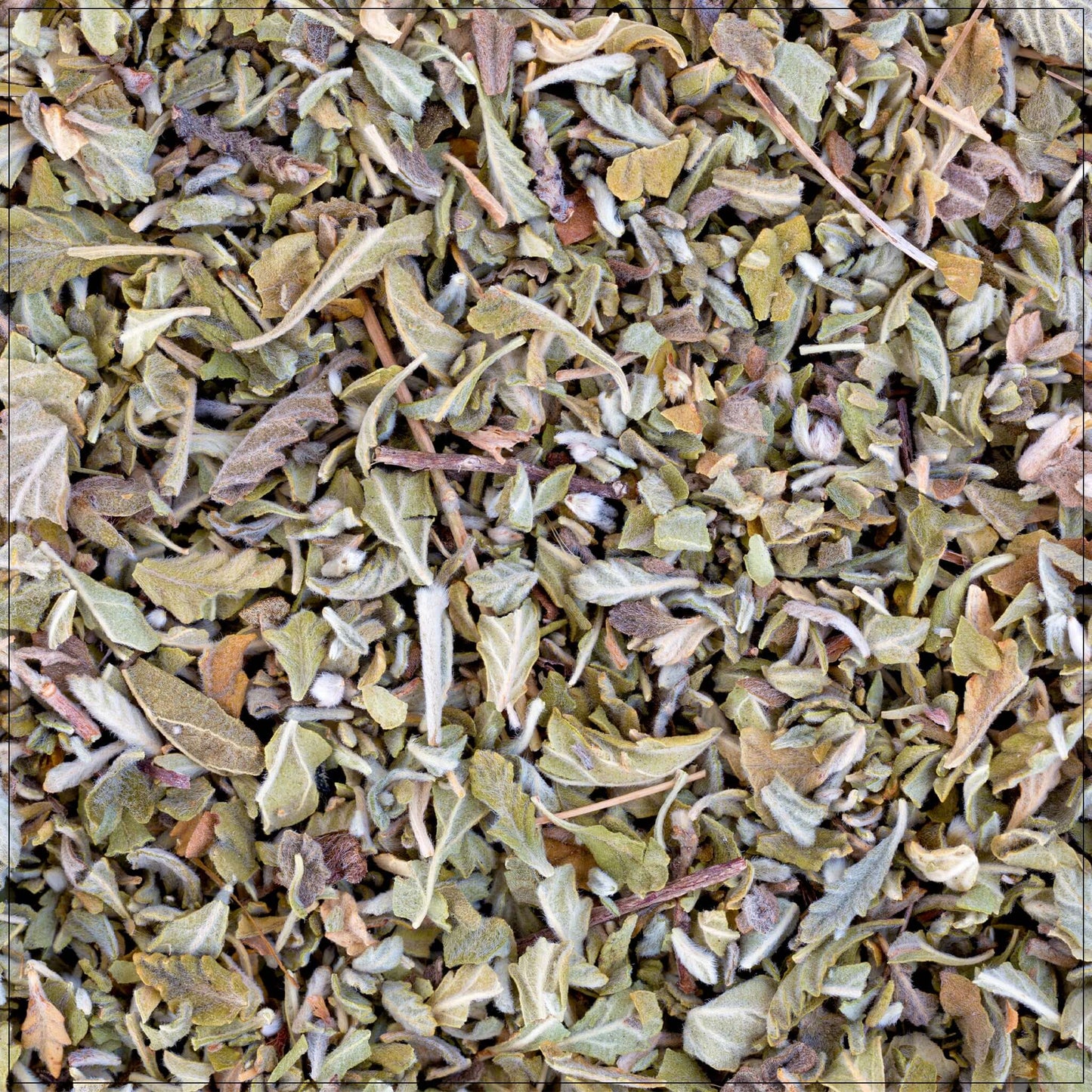Damiana Leaf