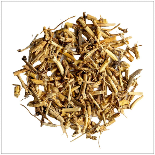 Dog Grass Root