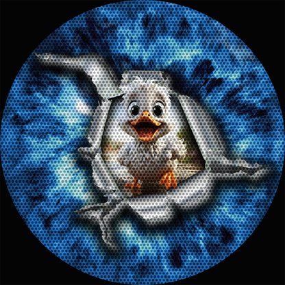 Duck eye round headlight decals