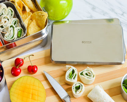 ecozoi Stainless Steel Freezer PACKS FOR LUNCH Boxes and Lunch Bags, 2 Pack