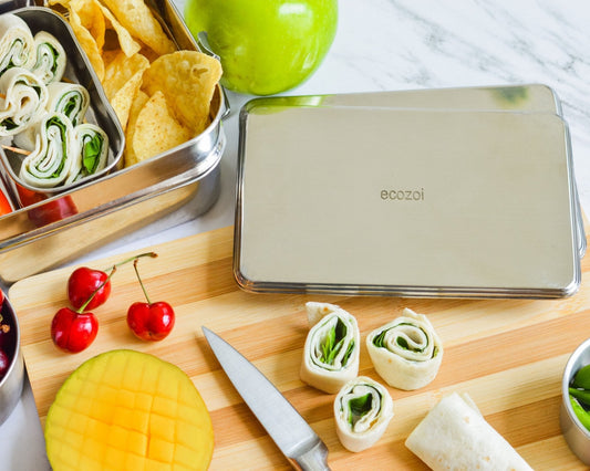 ecozoi Stainless Steel Freezer PACKS FOR LUNCH Boxes and Lunch Bags, 2 Pack