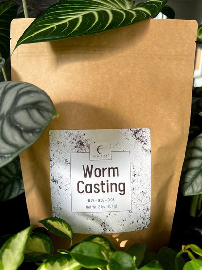 Elm Dirt Worm Casting