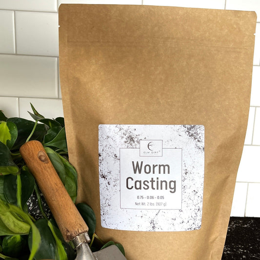 Elm Dirt Worm Casting