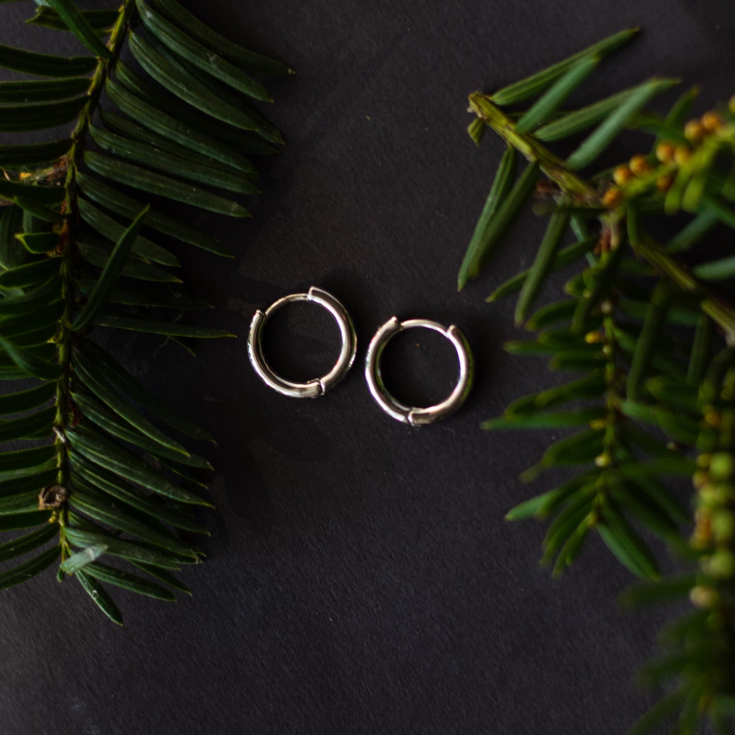 Everyday Hoop Earrings