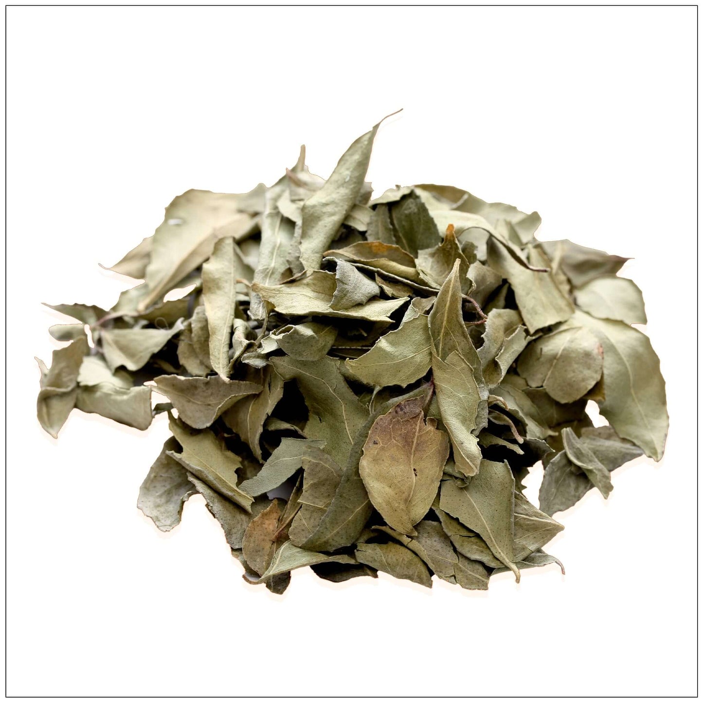 Dried Curry Leaf