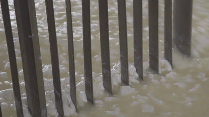 Genuine Fulvi® Pecorino Romano DOP