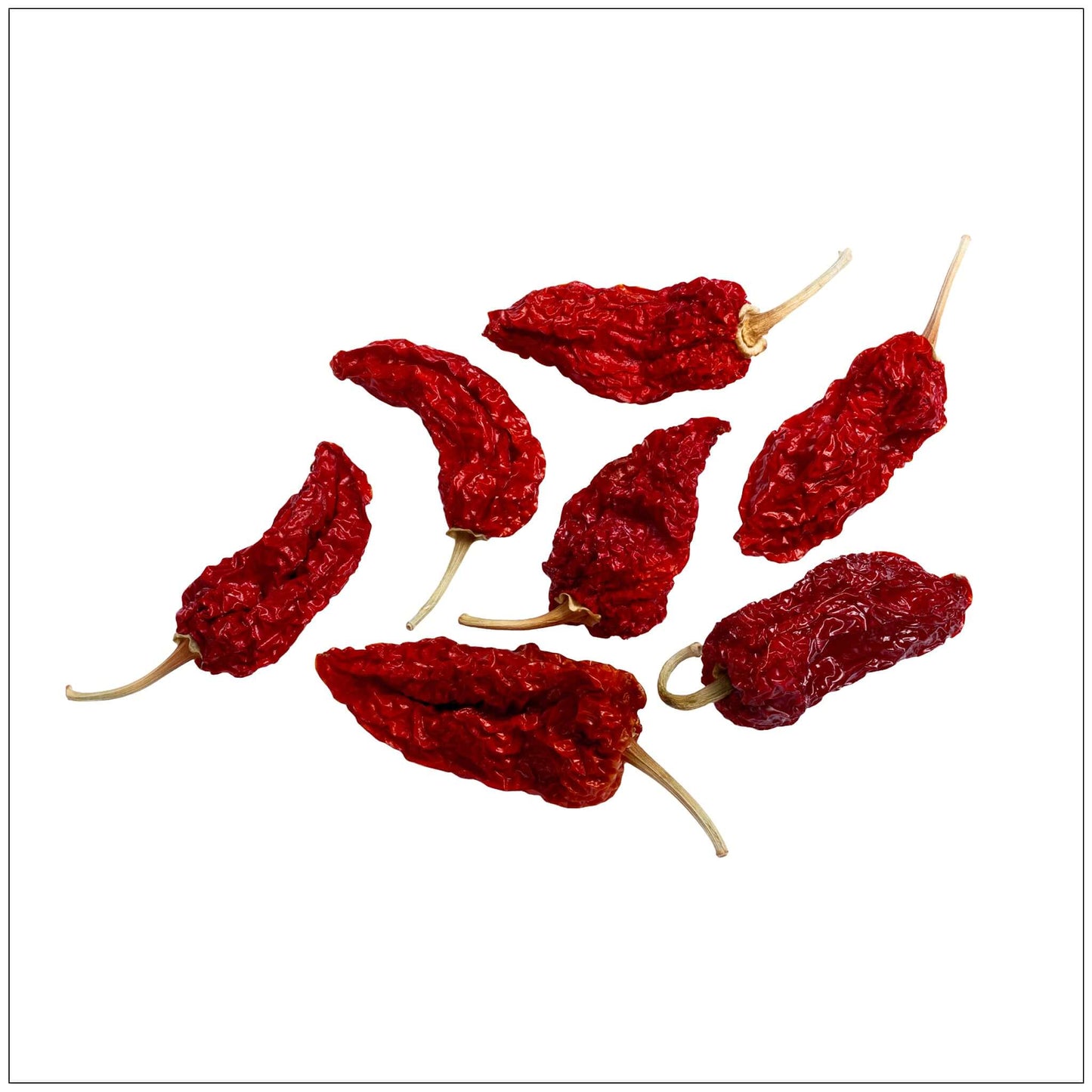 Ghost Pepper Whole