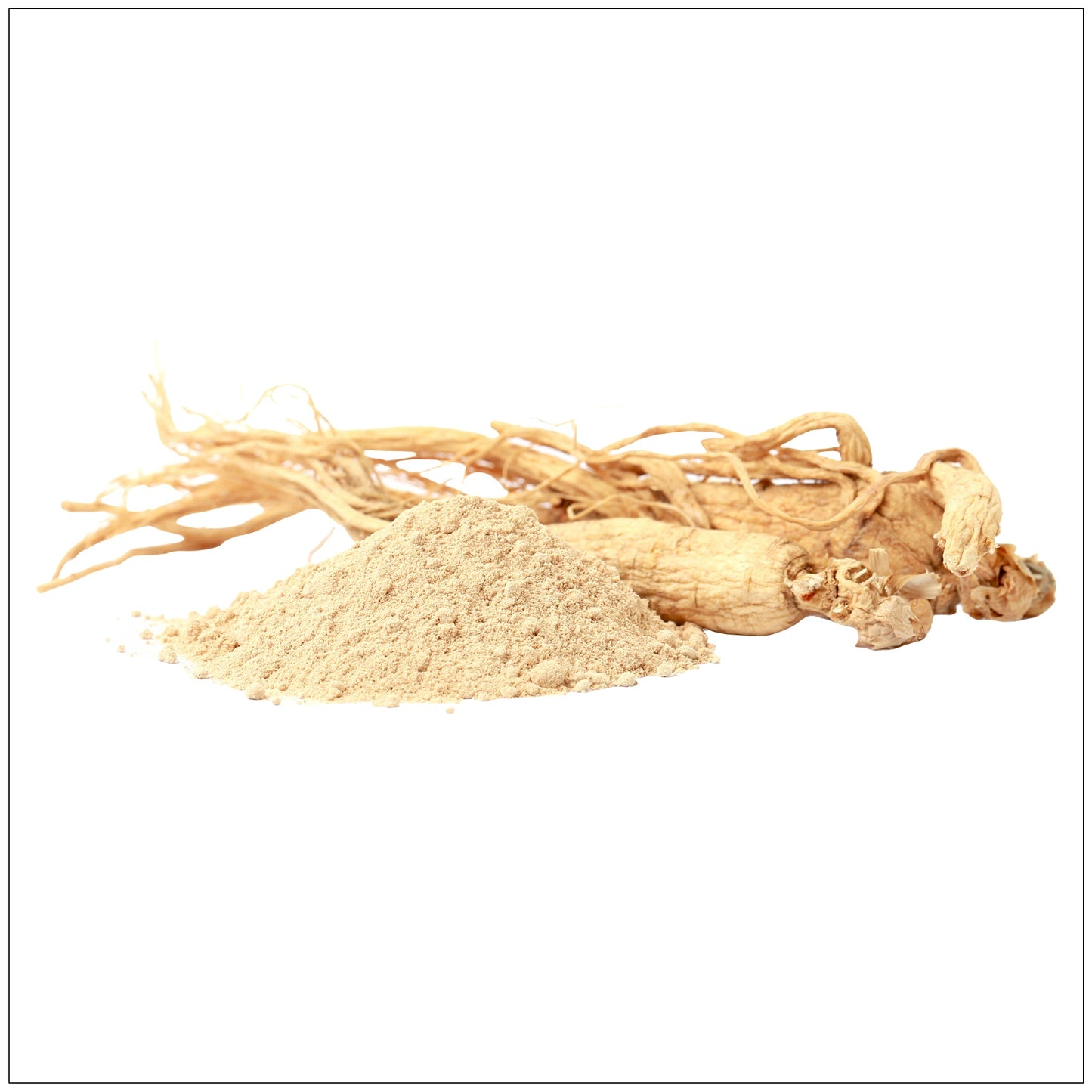 Ginseng Root Powder