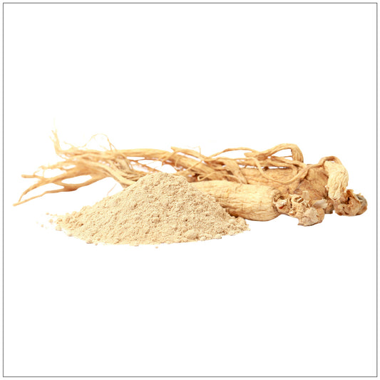 Ginseng Root Powder