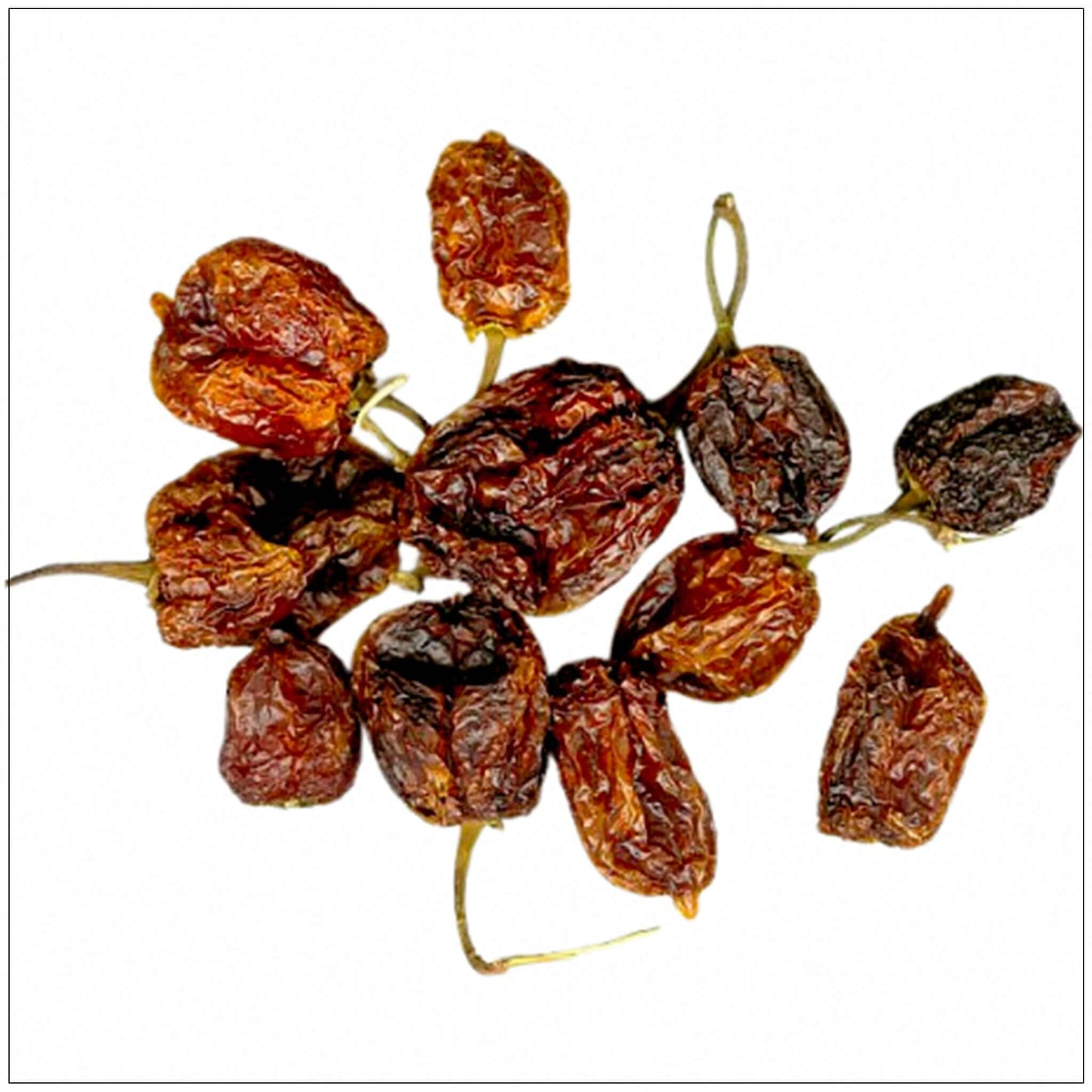 Habanero Chili Whole