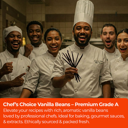 1 lb Premium Wholesale Vanilla Beans – Bulk Vanilla Beans for Culinary Professionals