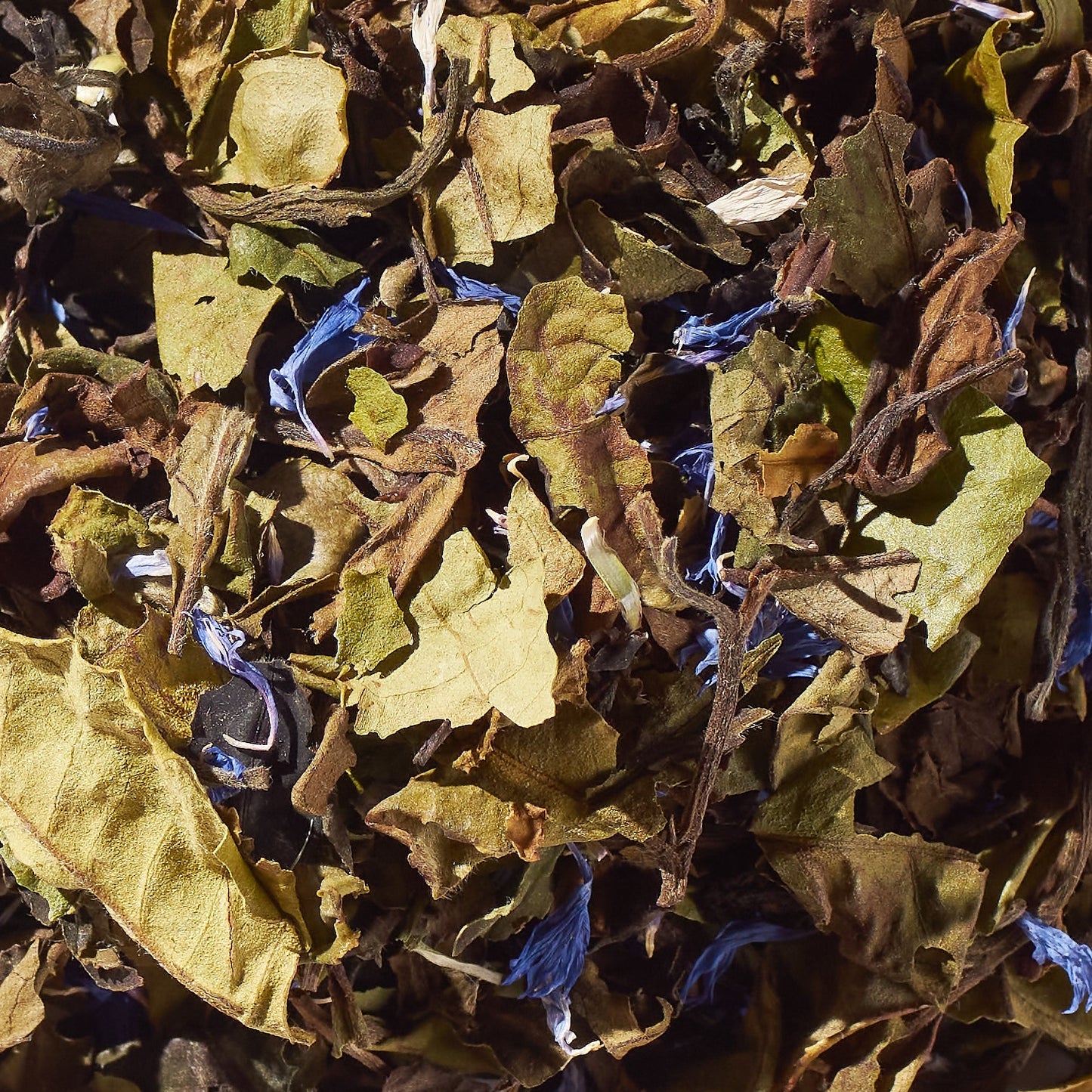 Peony Blueberry No. 43 | Loose Leaf White Tea