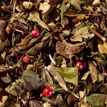 Sweet Cinnamon Chai No. 40 – Spiced Probiotic White Tea Discs