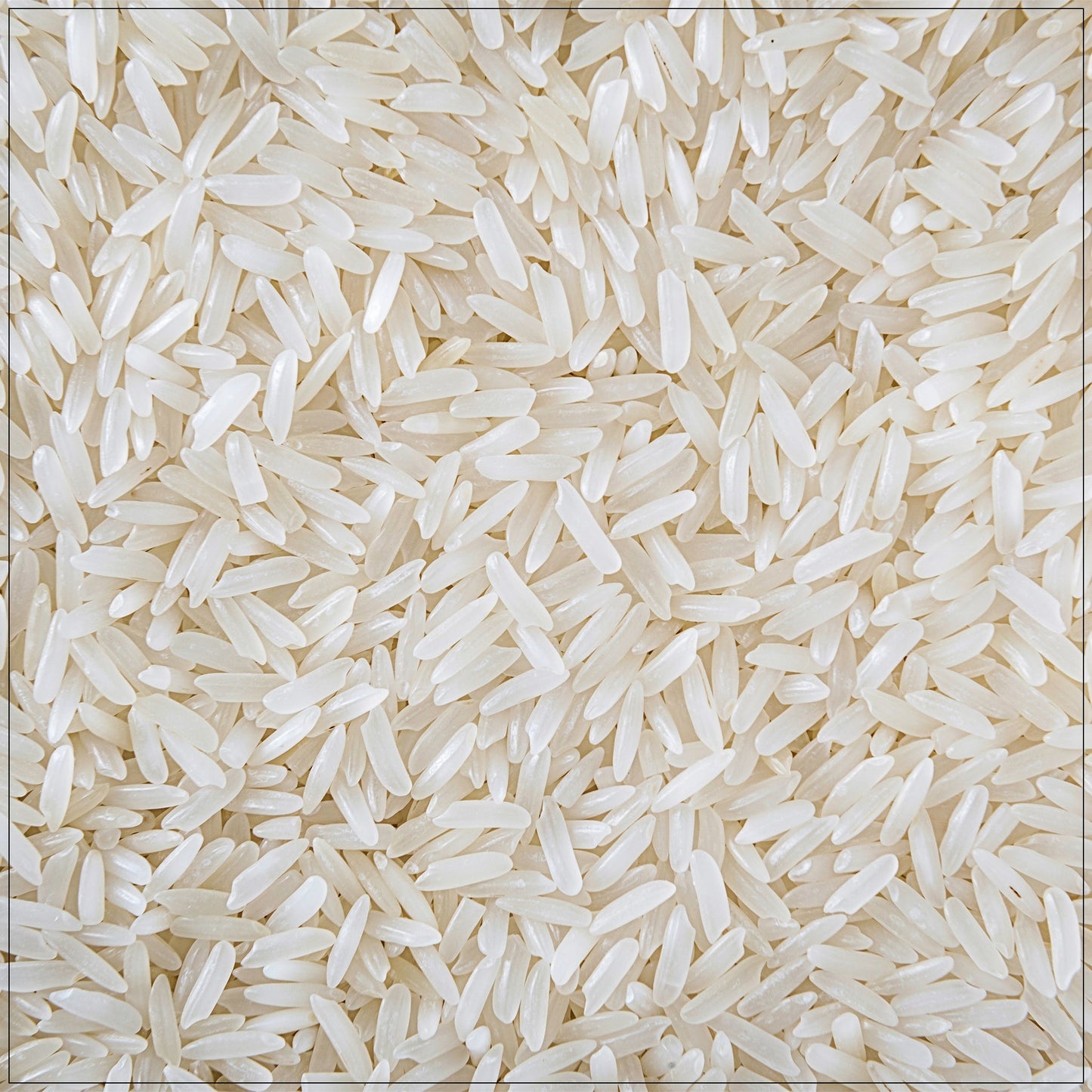 Jasmine Rice