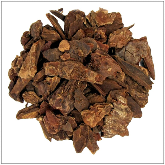 Jezebel Root