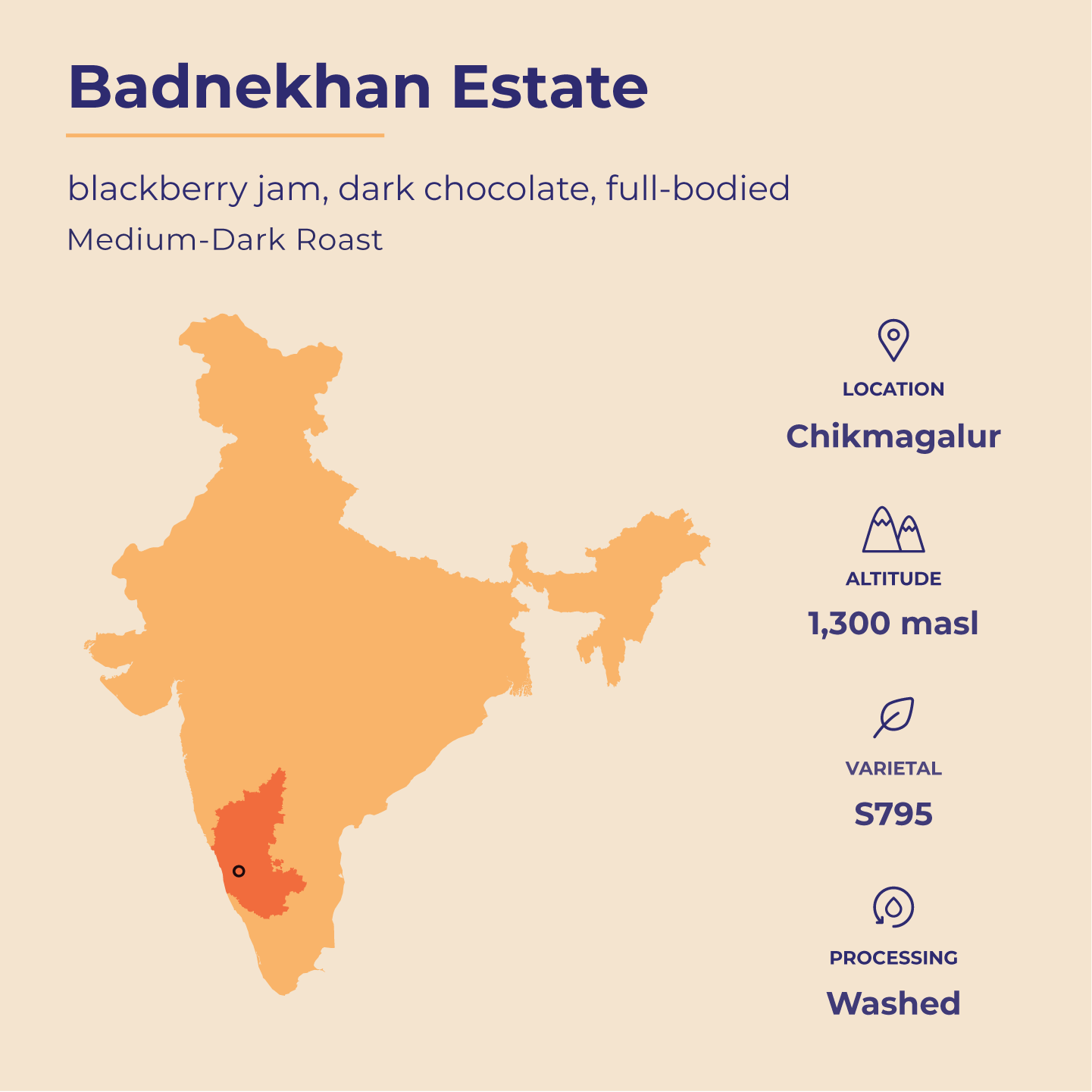 Bold | Badnekhan | Medium-Dark Roast (Whole Beans) - 6 bags x 12oz