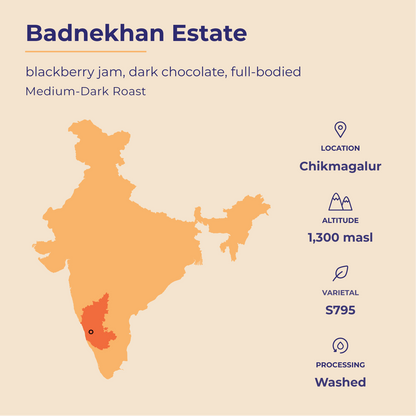 Bold | Badnekhan | Medium-Dark Roast (Whole Beans) - 6 bags x 12oz