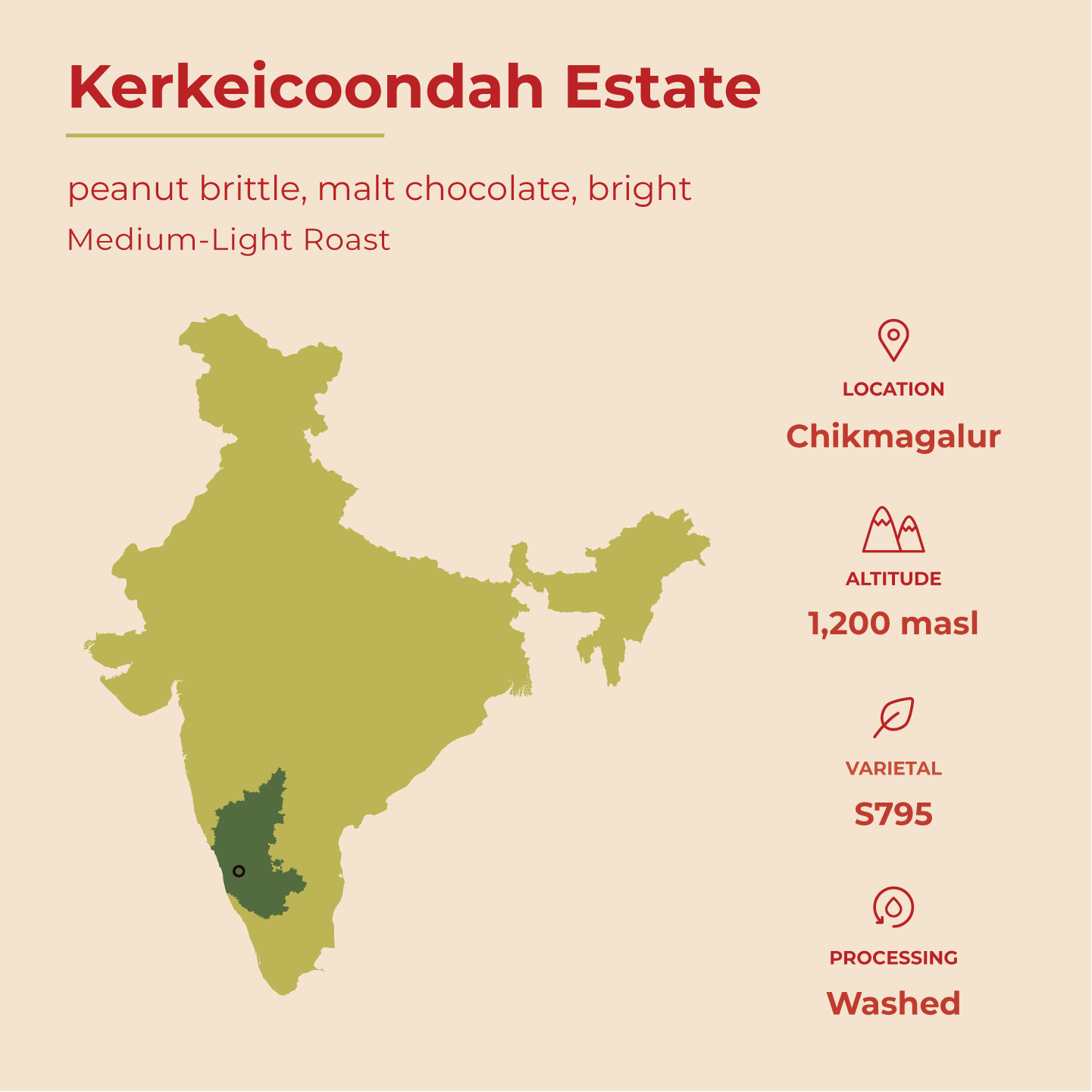 Bright - Kerkeicoondah | Medium-Light Roast (Whole Beans) Bags - 6 bags x 12oz