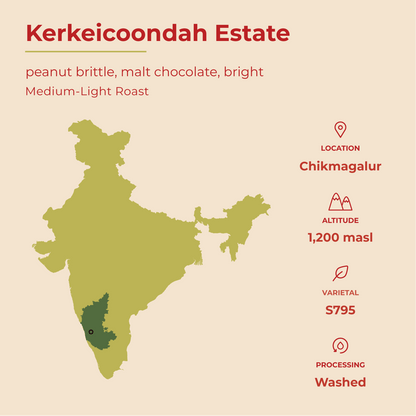 Bright - Kerkeicoondah | Medium-Light Roast (Whole Beans) Bags - 6 bags x 12oz