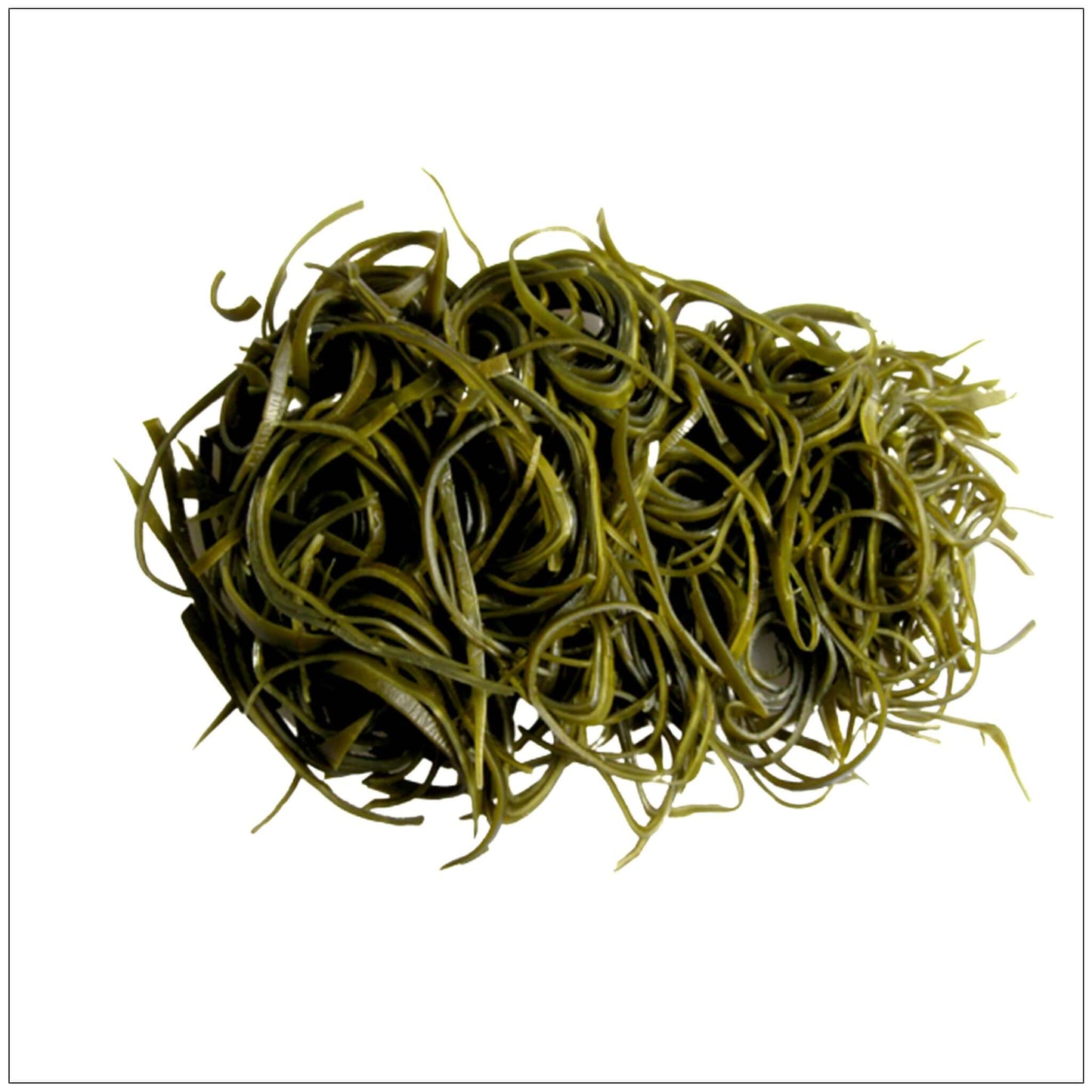 Kelp Slices