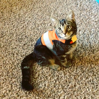 Kitty Holster Reflective Safety Harness (Made in USA)