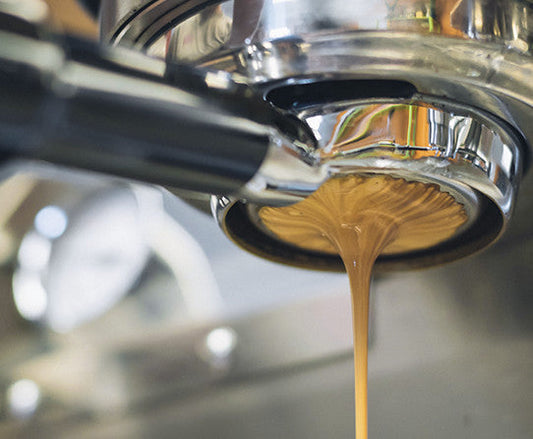 Knee Buckling Espresso