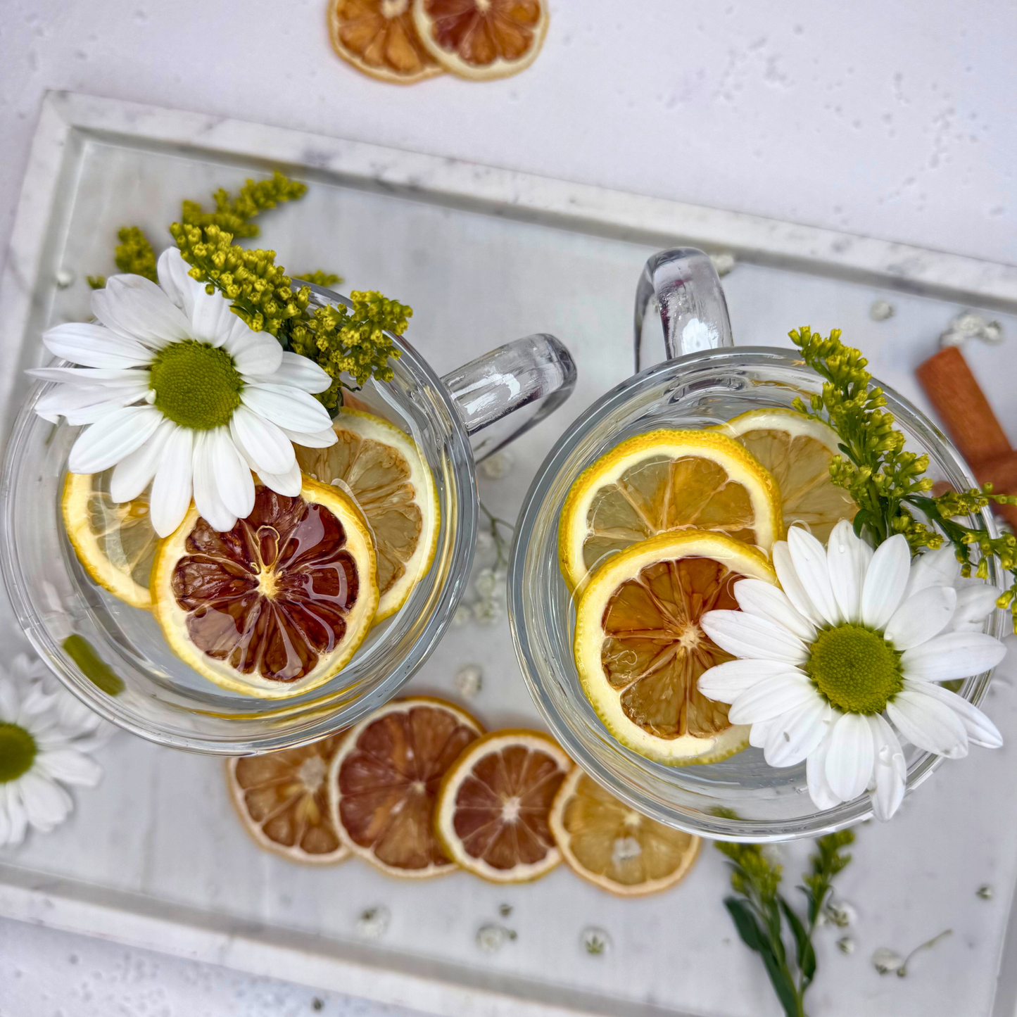 Dehydrated Lemon Slices | Dried Lemons for Bar & Decor