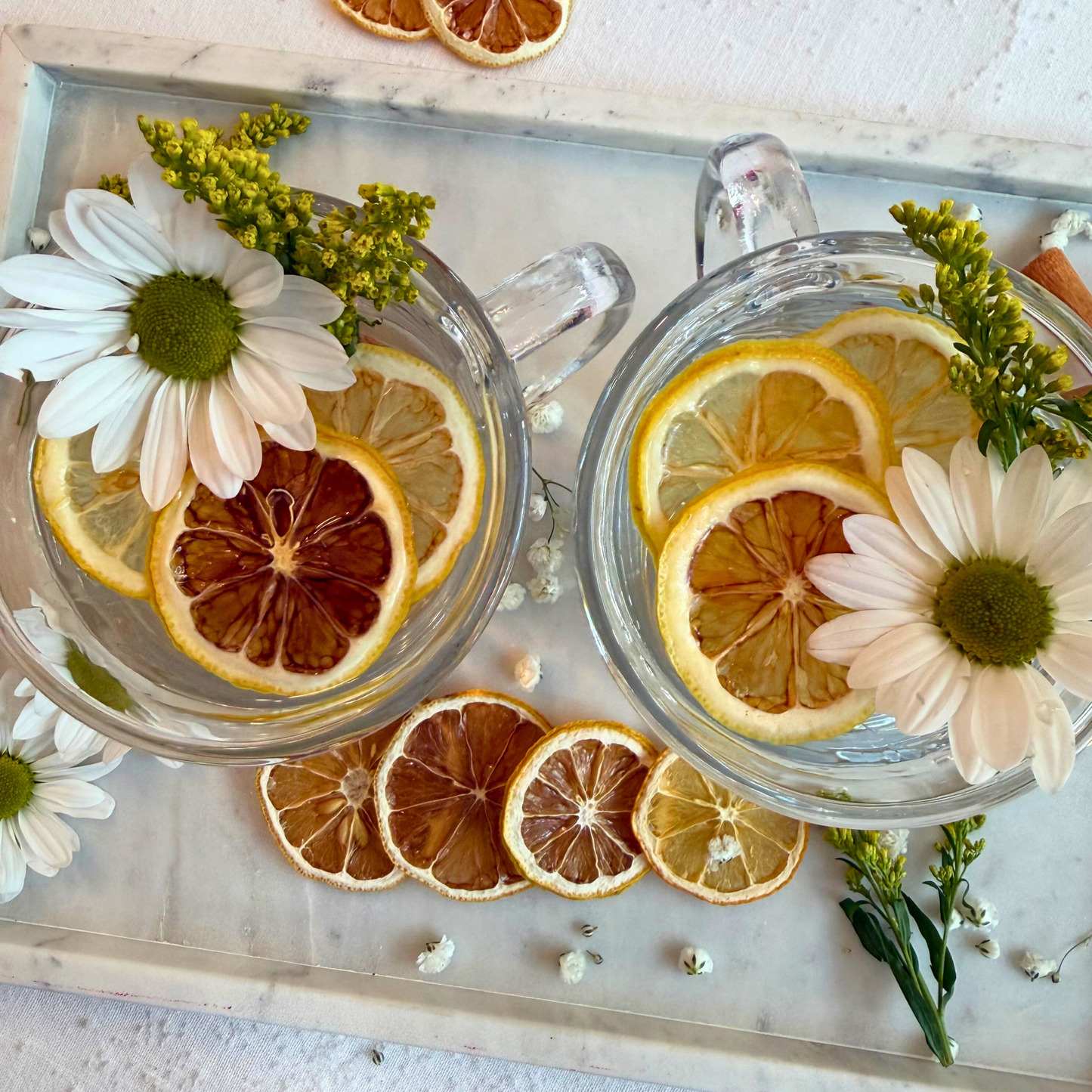 Dehydrated Lemon Slices | Dried Lemons for Bar & Decor