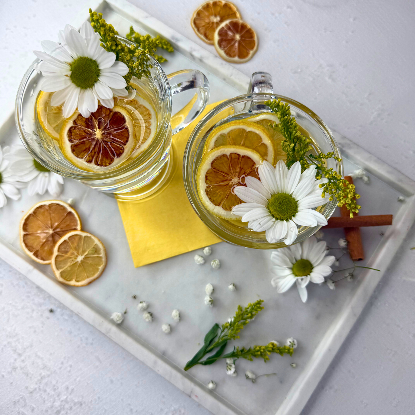 Dehydrated Lemon Slices | Dried Lemons for Bar & Decor