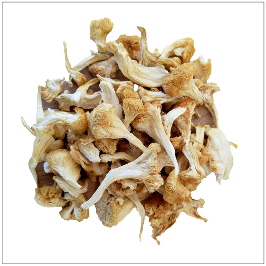 Lion's Mane Mushrooms