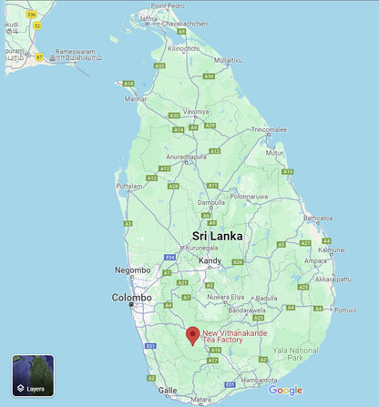 Golden Reserve Black Tea | Plant-based Tea Bags