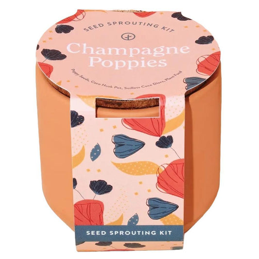 Modern Sprout - 'Champagne Poppies' Terracotta Seed Sprouting Kit
