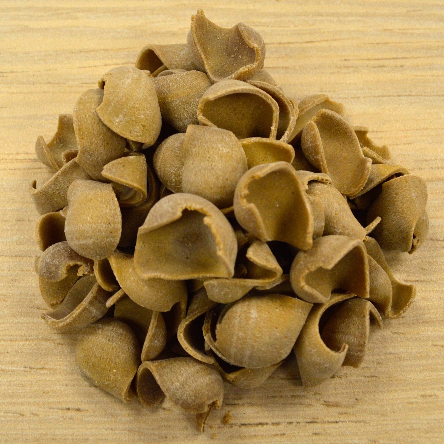 Fresh Mushroom Orecchiette Pasta