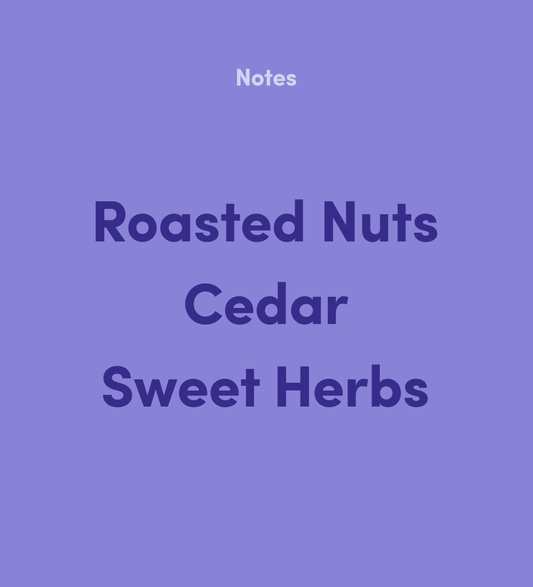 Bean & Bean Coffee Roasters Downtown Blend