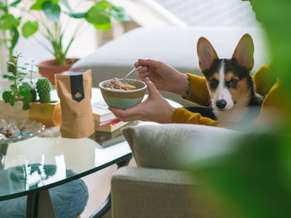 Nora’s Kitchen Granola, Vegan, Gluten-Free Bags - 24 bags x 12oz case